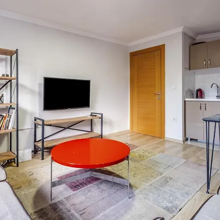 Fully Furnished Flat With Terrace In Atasehir Istanbul