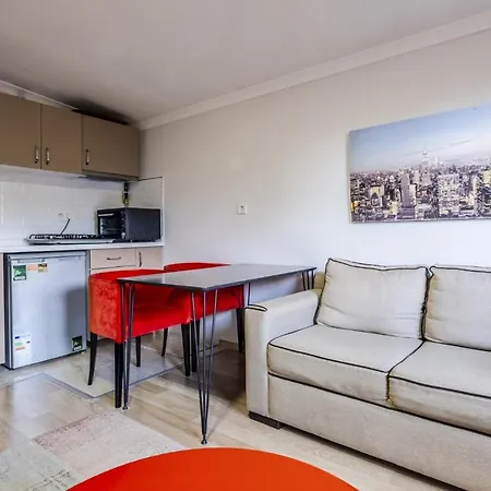 Fully Furnished Flat With Terrace In Atasehir Lägenhet Istanbul